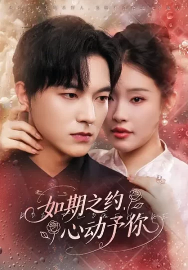 如期之约，心动予你